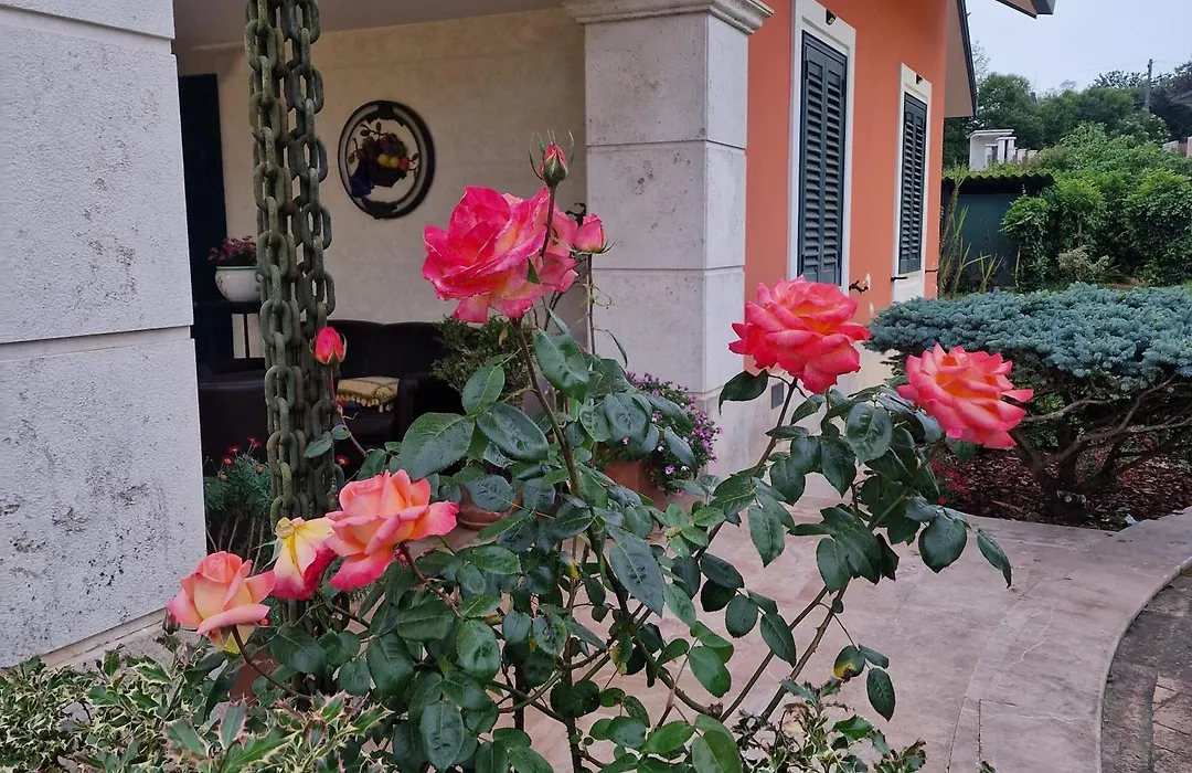 Villa Annamaria-1