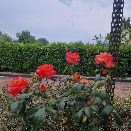 Villa Annamaria-2